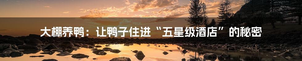 大棚养鸭：让鸭子住进“五星级酒店”的秘密