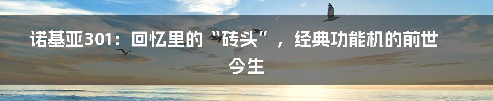 诺基亚301：回忆里的“砖头”，经典功能机的前世今生