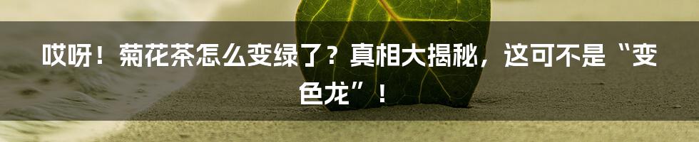 哎呀!菊花茶怎么变绿了?真相大揭秘,这可不是“变色龙”!