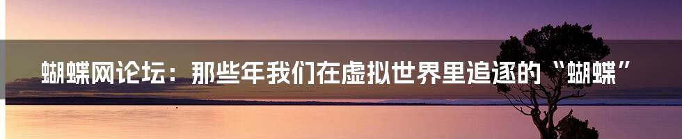 蝴蝶网论坛:那些年我们在虚拟世界里追逐的“蝴蝶”