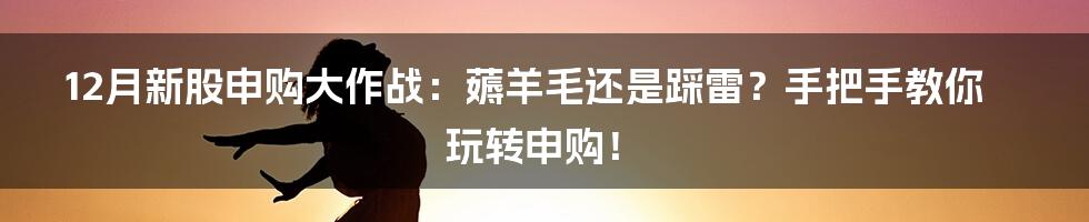 12月新股申购大作战：薅羊毛还是踩雷？手把手教你玩转申购！