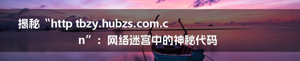 揭秘“http tbzy.hubzs.com.cn”:网络迷宫中的神秘代码