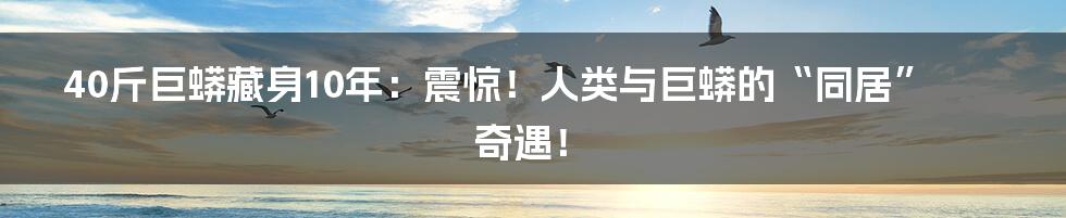 40斤巨蟒藏身10年:震惊!人类与巨蟒的“同居”奇遇!