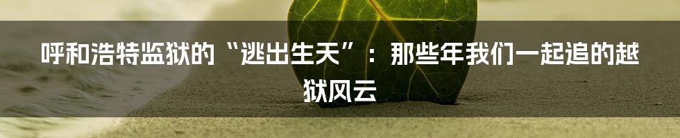 呼和浩特监狱的“逃出生天”:那些年我们一起追的越狱风云
