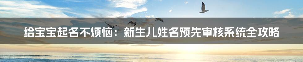 给宝宝起名不烦恼:新生儿姓名预先审核系统全攻略