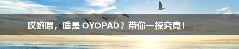 哎哟喂,啥是 OYOPAD?带你一探究竟!