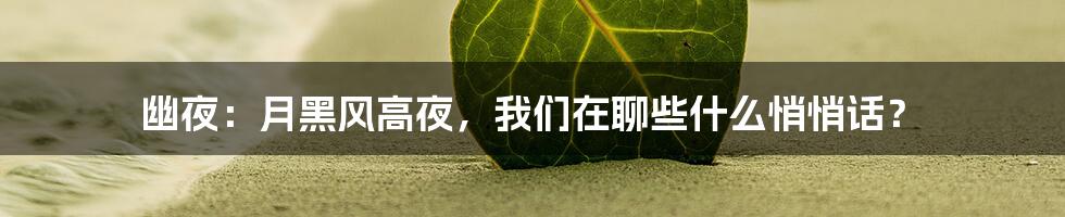 幽夜:月黑风高夜,我们在聊些什么悄悄话?