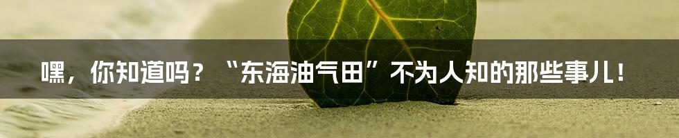 嘿,你知道吗?“东海油气田”不为人知的那些事儿!