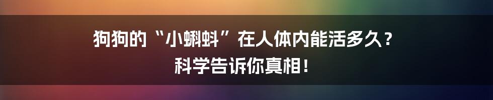 狗狗的“小蝌蚪”在人体内能活多久? 科学告诉你真相!