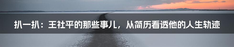 扒一扒:王社平的那些事儿,从简历看透他的人生轨迹