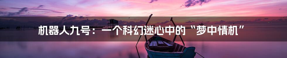 机器人九号：一个科幻迷心中的“梦中情机”