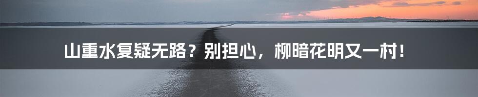 山重水复疑无路?别担心,柳暗花明又一村!