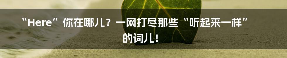 “Here”你在哪儿？一网打尽那些“听起来一样”的词儿！