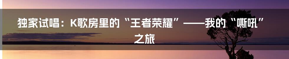 独家试唱：K歌房里的“王者荣耀”——我的“嘶吼”之旅