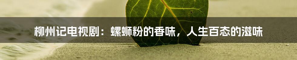 柳州记电视剧:螺蛳粉的香味,人生百态的滋味