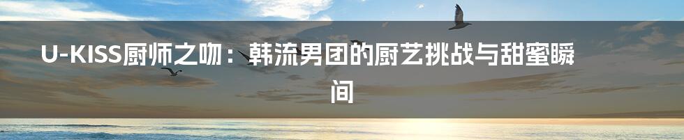 U-KISS厨师之吻:韩流男团的厨艺挑战与甜蜜瞬间