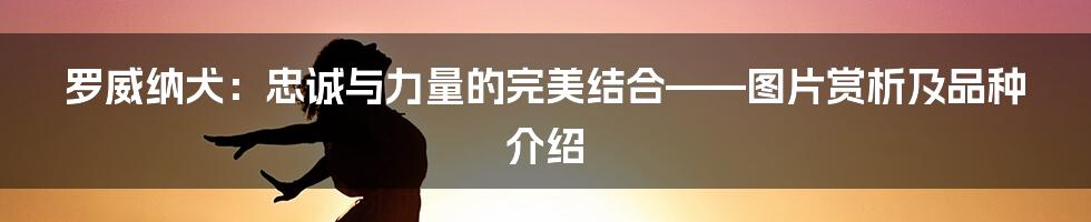 罗威纳犬：忠诚与力量的完美结合——图片赏析及品种介绍