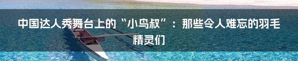 中国达人秀舞台上的“小鸟叔”:那些令人难忘的羽毛精灵们