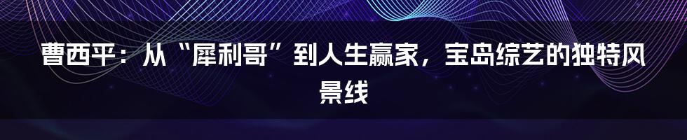 曹西平:从“犀利哥”到人生赢家,宝岛综艺的独特风景线