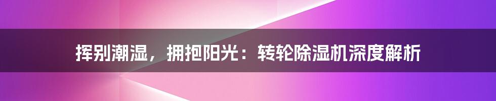 挥别潮湿，拥抱阳光：转轮除湿机深度解析