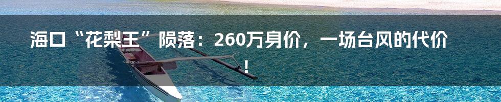 海口“花梨王”陨落:260万身价,一场台风的代价!