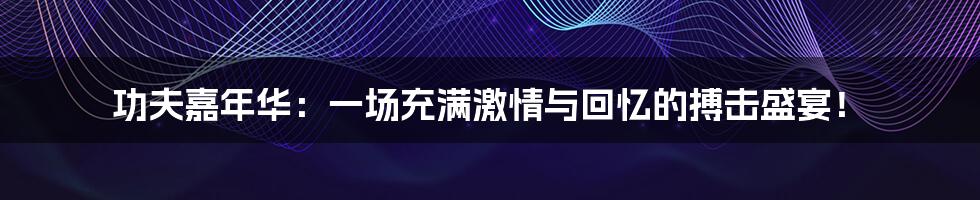 功夫嘉年华:一场充满激情与回忆的搏击盛宴!