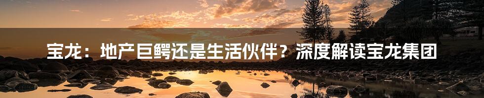 宝龙：地产巨鳄还是生活伙伴？深度解读宝龙集团