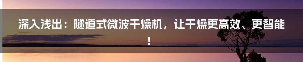 深入浅出:隧道式微波干燥机,让干燥更高效、更智能!