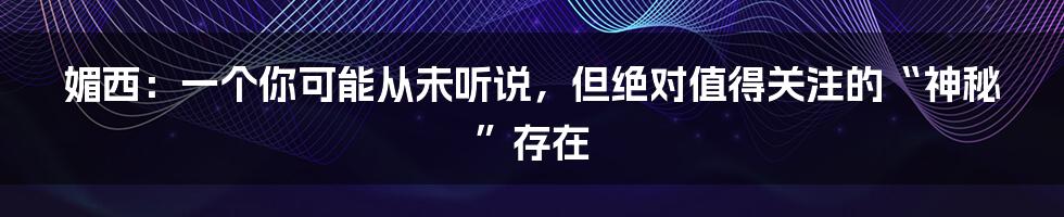 媚西：一个你可能从未听说，但绝对值得关注的“神秘”存在