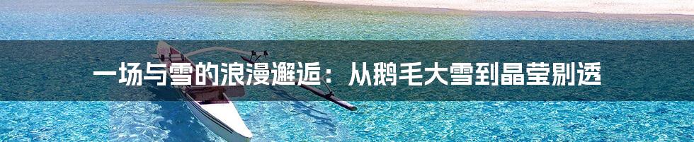 一场与雪的浪漫邂逅：从鹅毛大雪到晶莹剔透