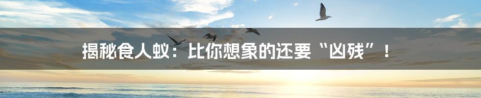 揭秘食人蚁:比你想象的还要“凶残”!