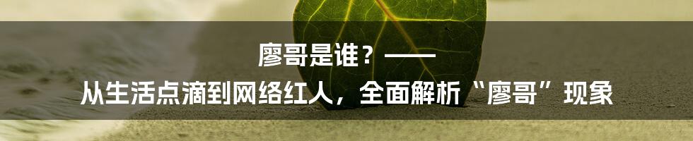 廖哥是谁？—— 从生活点滴到网络红人，全面解析“廖哥”现象
