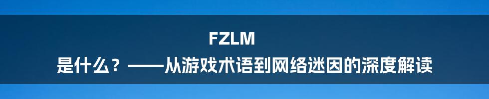 FZLM 是什么?——从游戏术语到网络迷因的深度解读
