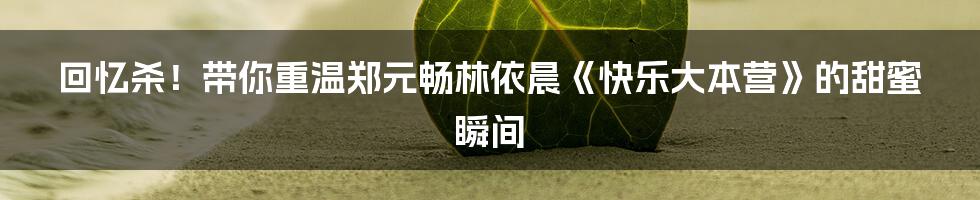 回忆杀!带你重温郑元畅林依晨《快乐大本营》的甜蜜瞬间