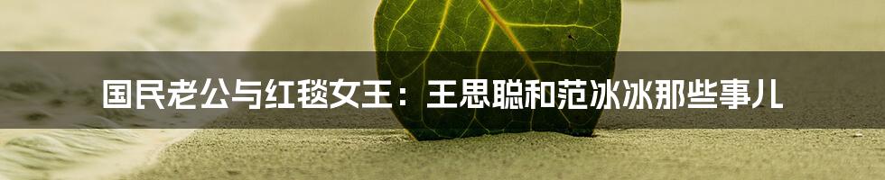 国民老公与红毯女王:王思聪和范冰冰那些事儿