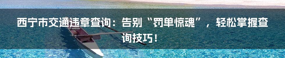 西宁市交通违章查询:告别“罚单惊魂”,轻松掌握查询技巧!