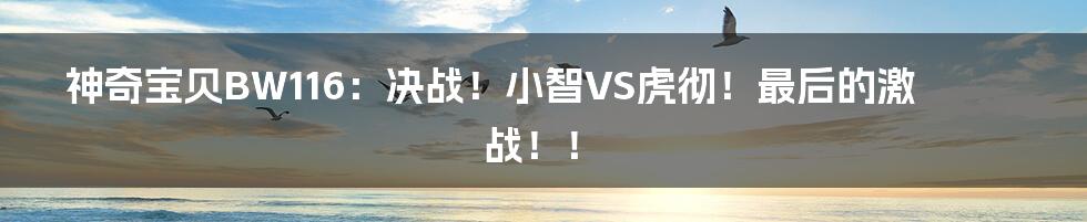 神奇宝贝BW116:决战!小智VS虎彻!最后的激战!!