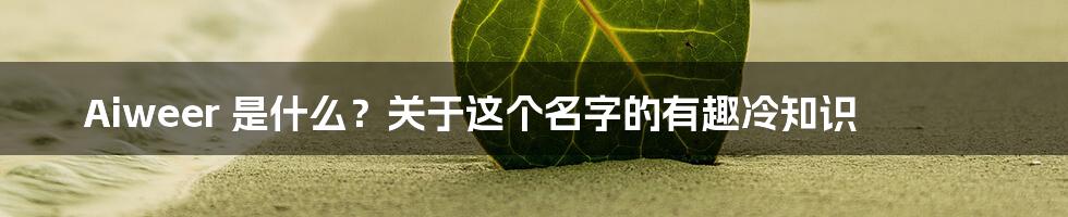 Aiweer 是什么?关于这个名字的有趣冷知识
