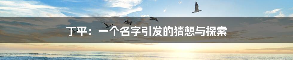 丁平:一个名字引发的猜想与探索