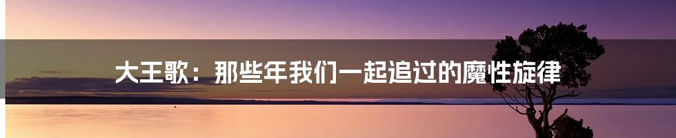大王歌:那些年我们一起追过的魔性旋律