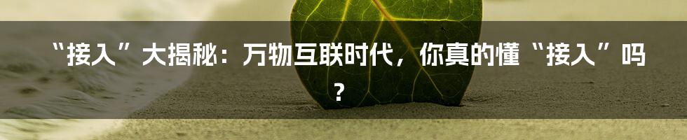 “接入”大揭秘:万物互联时代,你真的懂“接入”吗?