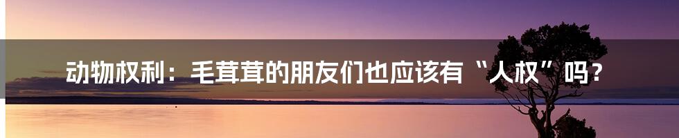 动物权利：毛茸茸的朋友们也应该有“人权”吗？