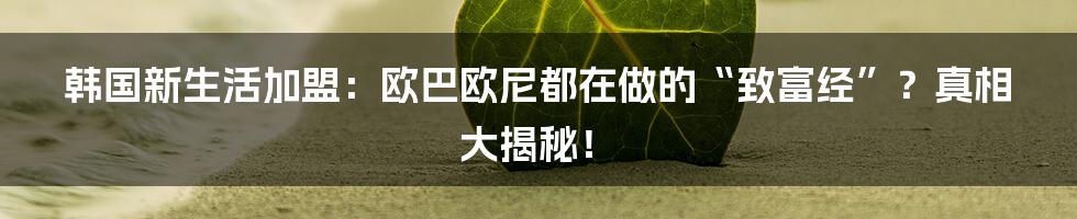 韩国新生活加盟:欧巴欧尼都在做的“致富经”?真相大揭秘!