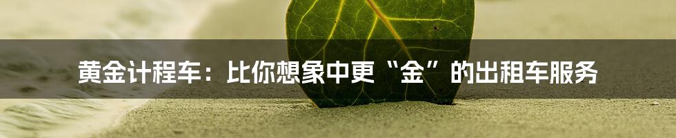 黄金计程车:比你想象中更“金”的出租车服务