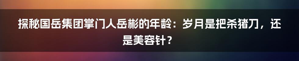 探秘国岳集团掌门人岳彬的年龄:岁月是把杀猪刀,还是美容针?