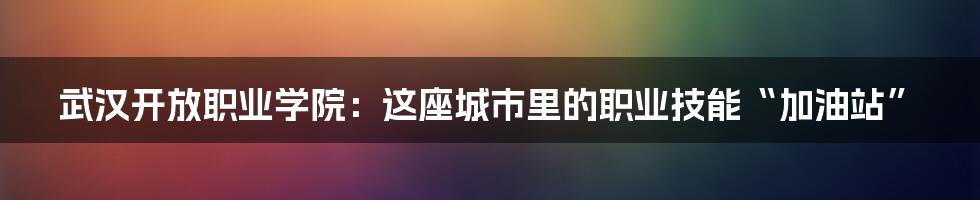 武汉开放职业学院：这座城市里的职业技能“加油站”