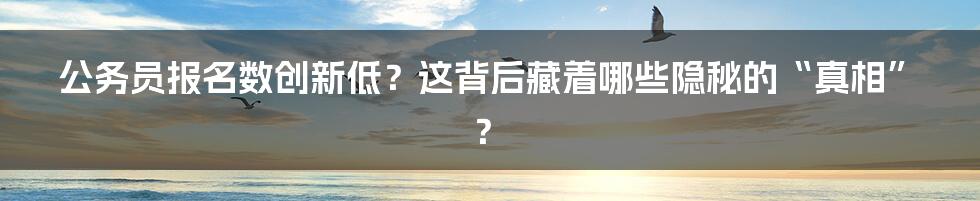 公务员报名数创新低?这背后藏着哪些隐秘的“真相”?