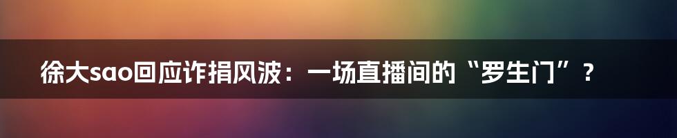 徐大sao回应诈捐风波:一场直播间的“罗生门”?