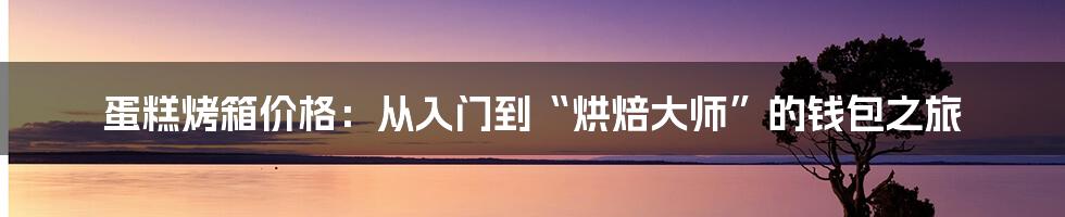 蛋糕烤箱价格:从入门到“烘焙大师”的钱包之旅