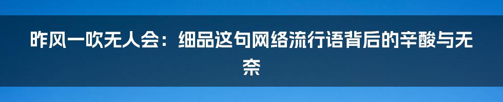 昨风一吹无人会:细品这句网络流行语背后的辛酸与无奈